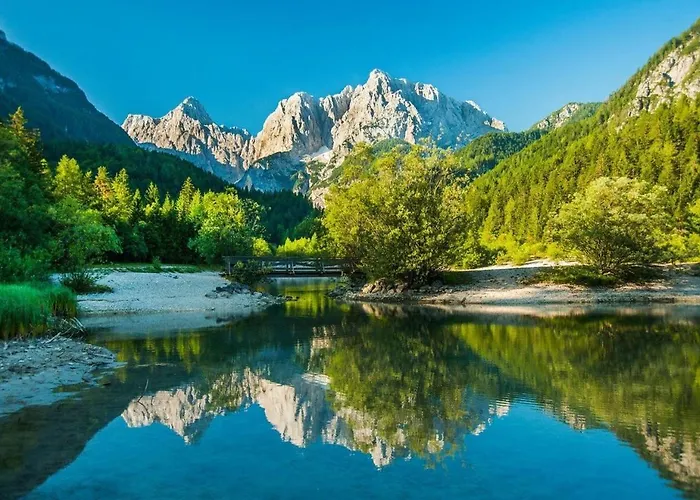 Bor In Bor Luxury With Sauna & Garden - Apartma Kranjska Gora